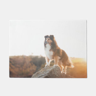 Sheltie on Cliff protectng heard during sunset Doormat