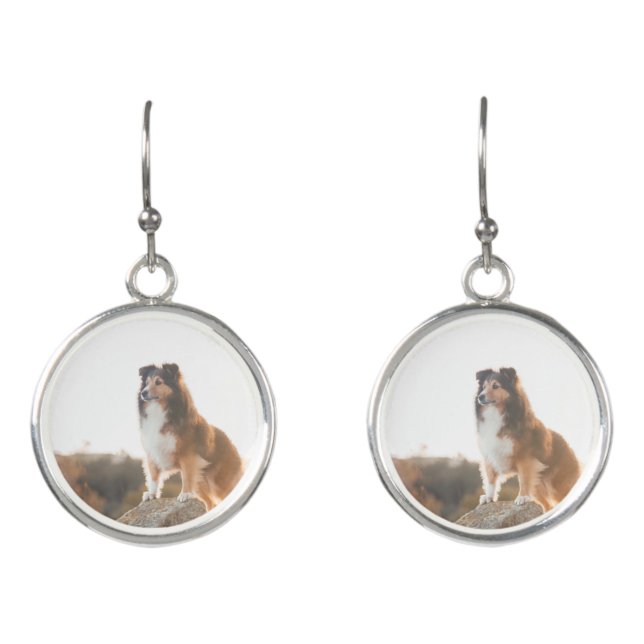 Sheltie on Cliff protectng heard during sunset Earrings (Front)
