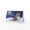 Sheltie Peace Christmas Card