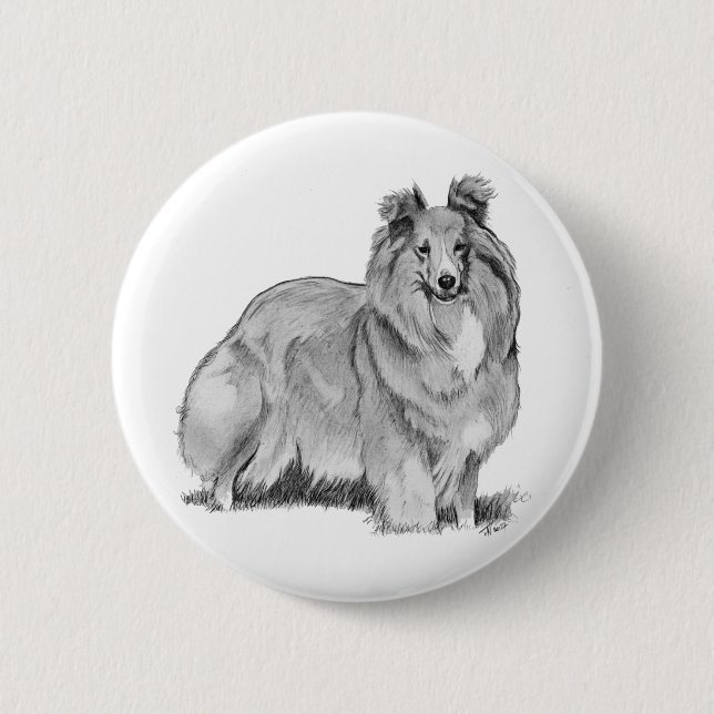Sheltie Pinback Button (Front)