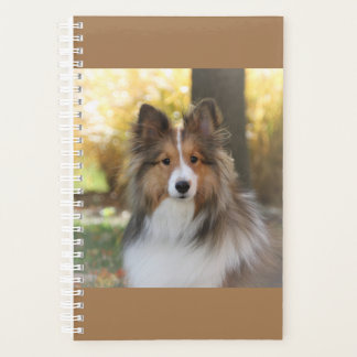 Sheltie Planner