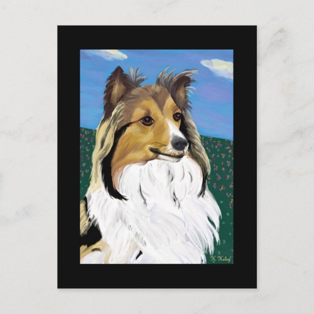 Sheltie postcard (Front)