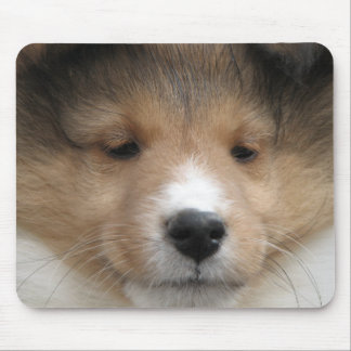 Sheltie puppy face mouse pad