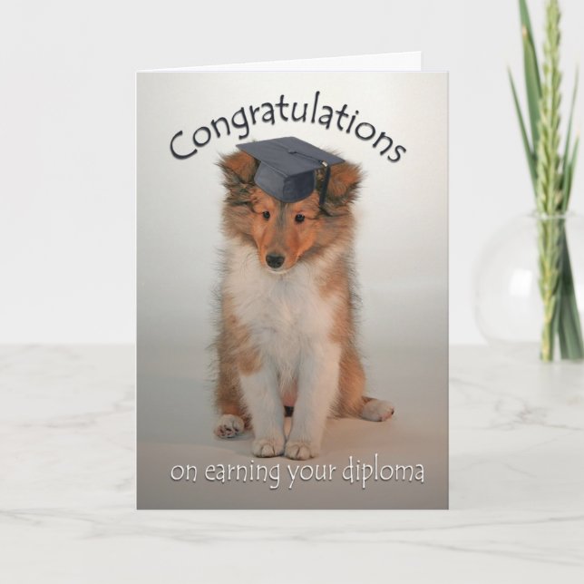 Sheltie Puppy Graduation Card (Front)