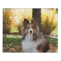 Sheltie puzzle 2025