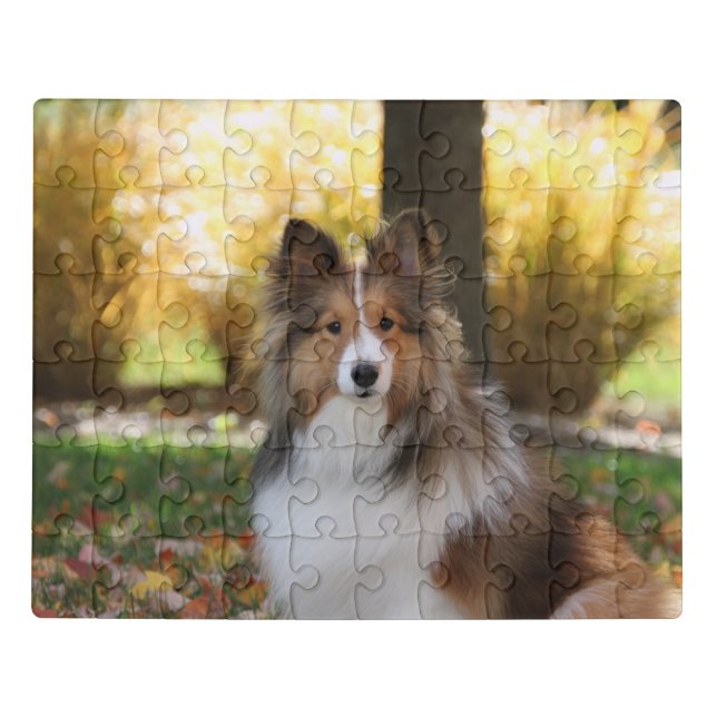 Sheltie Puzzle (Puzzle Horizontal)