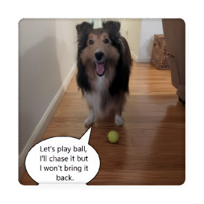 Sheltie quotes coaster set