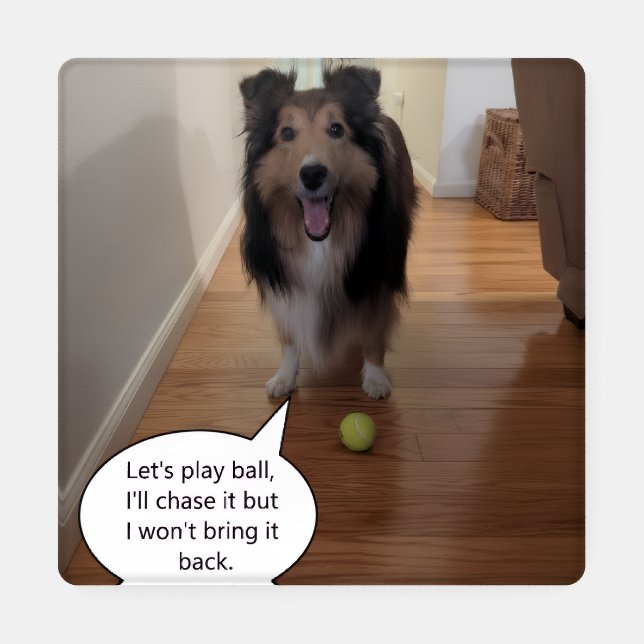 Sheltie quotes coaster set (Single)