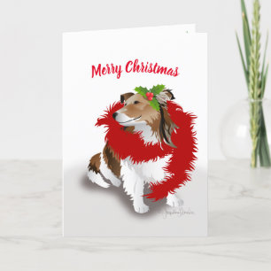 Sheltie, Red Scarf and Holly, Holiday Christmas Card