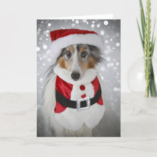 Sheltie Santa Clause Holiday Card