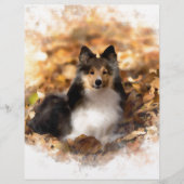 Sheltie Shetland Sheepdog Art Painting (Front)