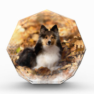 Sheltie Shetland Sheepdog Art Painting Award