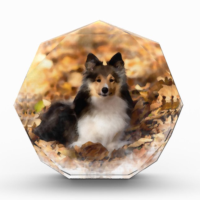 Sheltie Shetland Sheepdog Art Painting Award (Front)