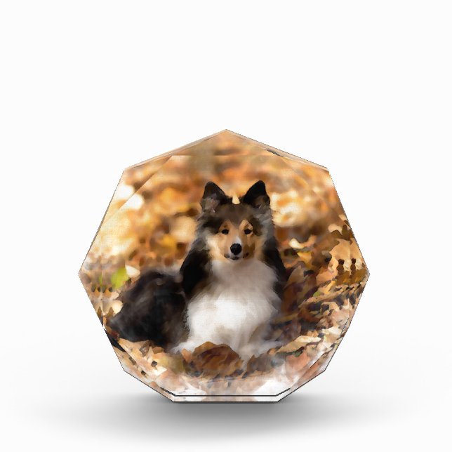 Sheltie Shetland Sheepdog Art Painting Award (Front)