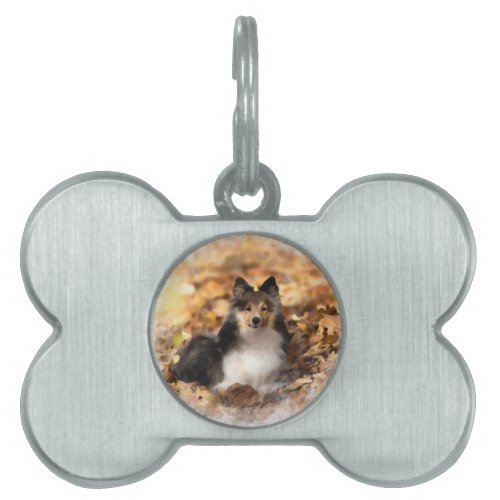 Sheltie Shetland Sheepdog Art Painting Pet ID Tag