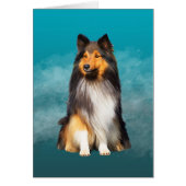 Sheltie Shetland Sheepdog Art Portrait (Front)