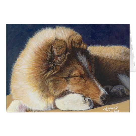 Sheltie Shetland Sheepdog Greeting Card