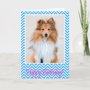 Sheltie Shetland Sheepdog Happy Birthday Card Blue
