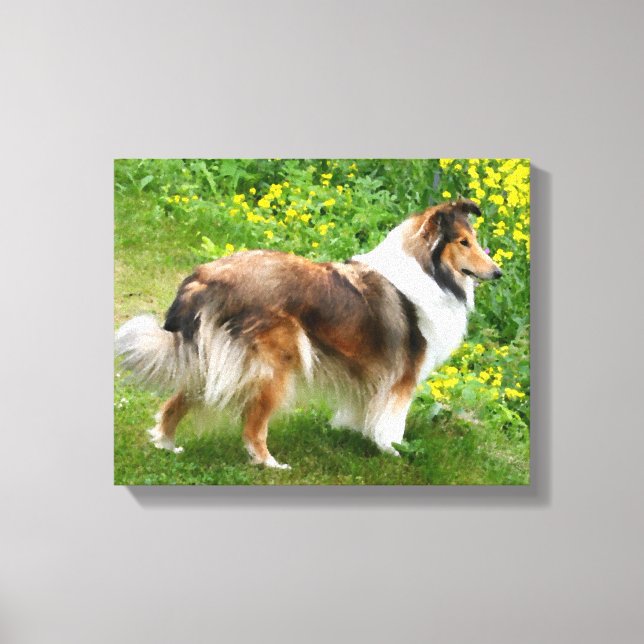 Sheltie Shetland Sheepdog Painting Canvas (Front)