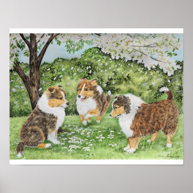 Sheltie Spring Poster (Front)