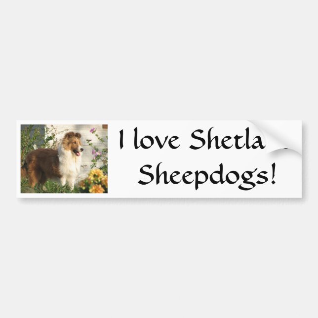 Sheltie standing in flowers bumper sticker (Front)