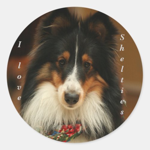 Sheltie sticker