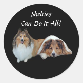 Sheltie Sticker by normagolden at Zazzle