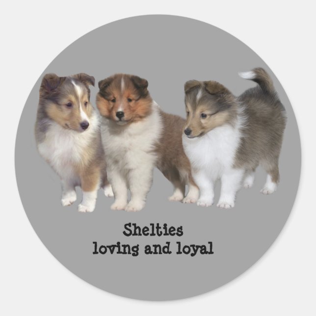 Sheltie Sticker (Front)