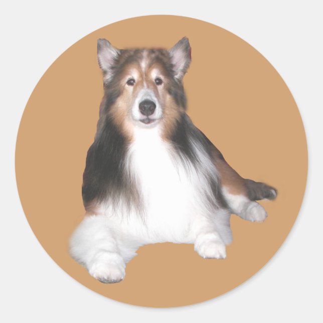 Sheltie Sticker (Front)