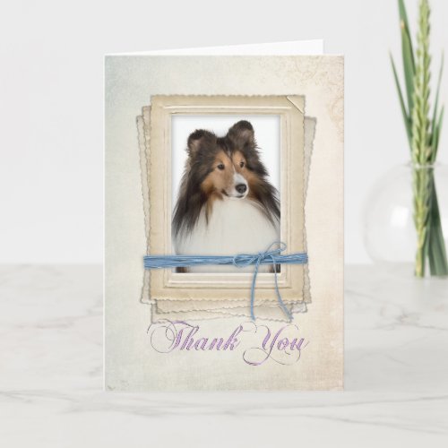 Sheltie Thank You Card