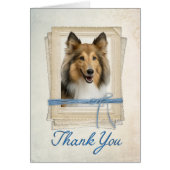 Sheltie Thank You Card (Front)