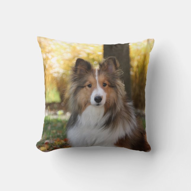 Sheltie Throw Pillow (Front)