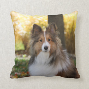 Sheltie Throw Pillow