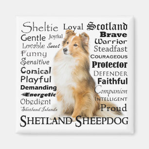 Sheltie Traits Magnet