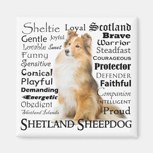Sheltie Traits Magnet (Front)