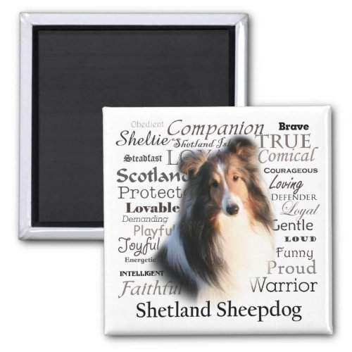 Sheltie Traits Magnet