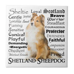 Sheltie Traits Tile