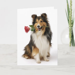 Sheltie Valentine – Gentle Heart, True Love Card