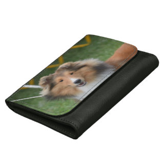 Sheltie Gifts - T-Shirts, Art, Posters & Other Gift Ideas | Zazzle