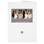 Sheltie Warm Wishes Cards (Back)