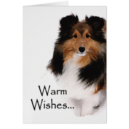 Sheltie Warm Wishes Cards (Front)