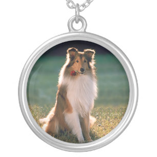 Sheltie's Gift Silver Plated Necklace