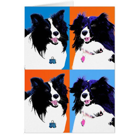 Shelties Pop Art Cards (Front)