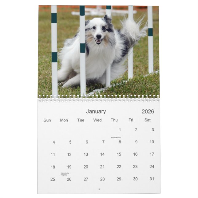 Shelties & Weaves Agility Calendar (Jan 2026)