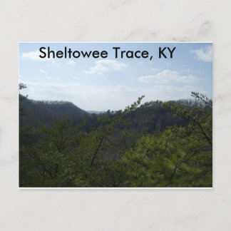 Sheltowee Trace Postcard