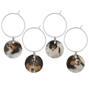 Shelty Confetti Wine Charm