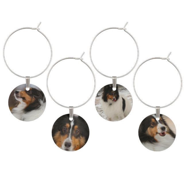 Shelty Confetti Wine Charm (Staggered)
