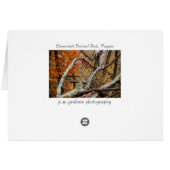 Shenandoah Autumn Fallen Tree Cards (Back Horizontal)