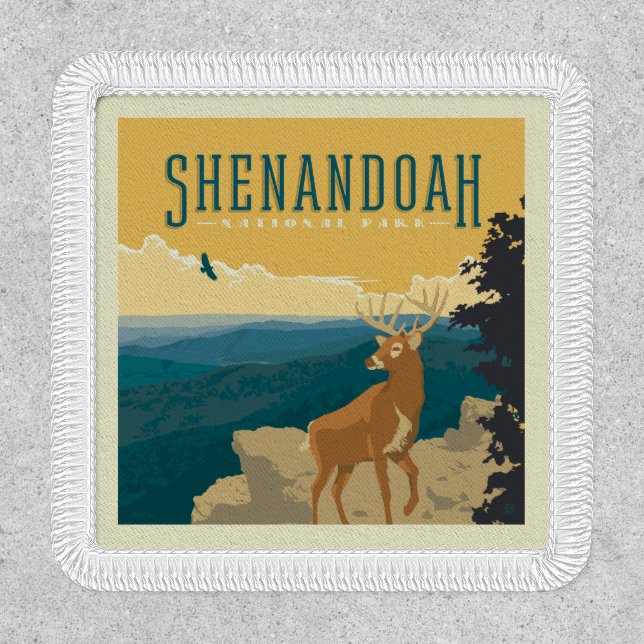 Shenandoah National Park | Deer Patch (Front)