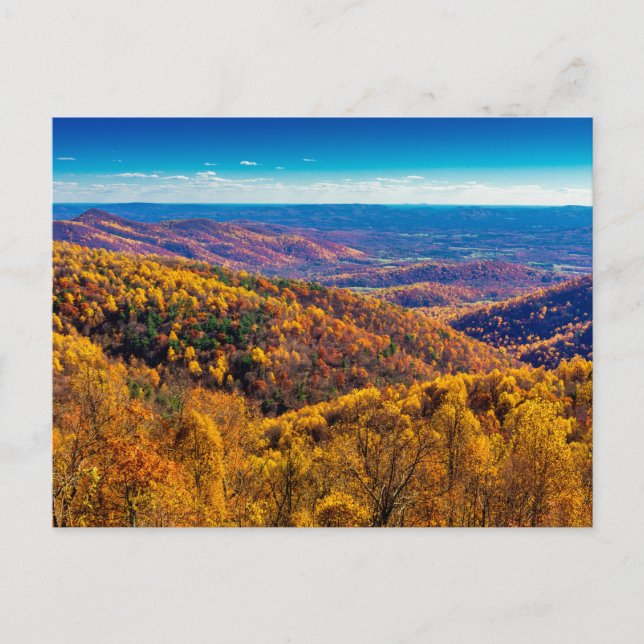 Shenandoah National Park in Fall, Virginia Postcard (Front)